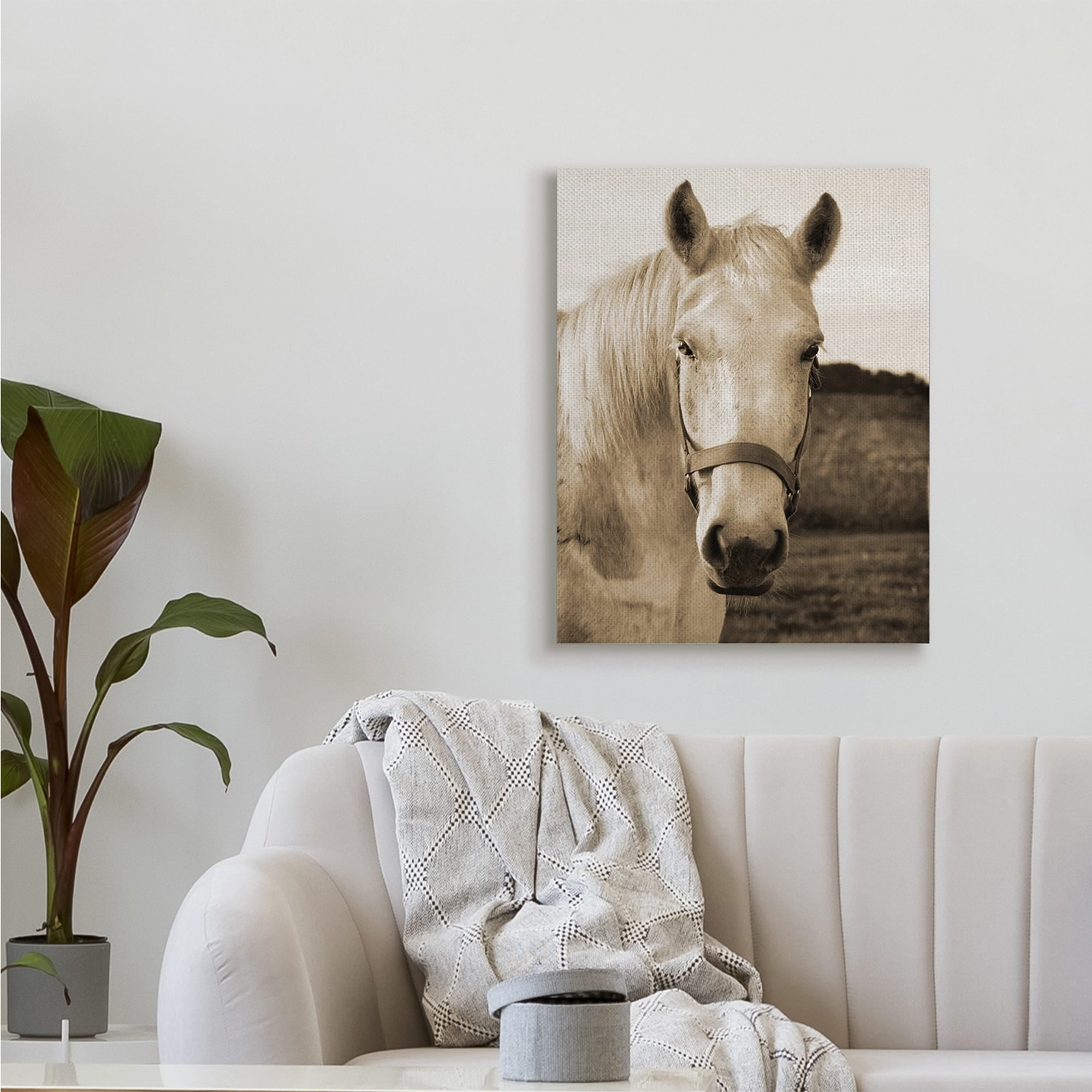 Stupell Industries Rustic Sepia tone Portrait of White Horse,24 x 30,Designed by Suzanne Foschino