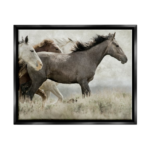Stupell Industries Rustic Southwestern Horses Animals & Insects Photography Black Floater Framed Canvas Art Print Wall Art, 21 x 17