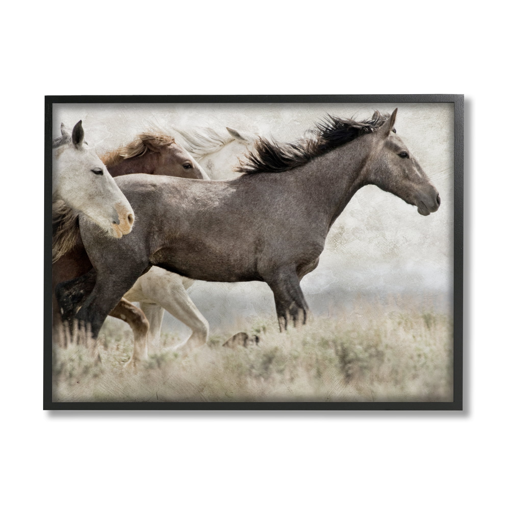 Stupell Industries Rustic Southwestern Horses Animals & Insects Photography Black Framed Art Print Wall Art, 14 x 11