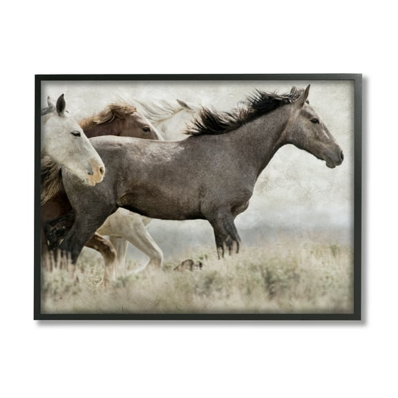 Stupell Industries Rustic Southwestern Horses Animals & Insects Photography Black Framed Art Print Wall Art, 14 x 11