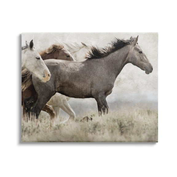 Stupell Industries Rustic Southwestern Horses Animals & Insects Photography Gallery Wrapped Canvas Art Print Wall Art, 20 x 16