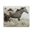 thumbnail image 1 of Stupell Industries Rustic Southwestern Horses Animals & Insects Photography Gallery Wrapped Canvas Art Print Wall Art, 30 x 24, 1 of 8