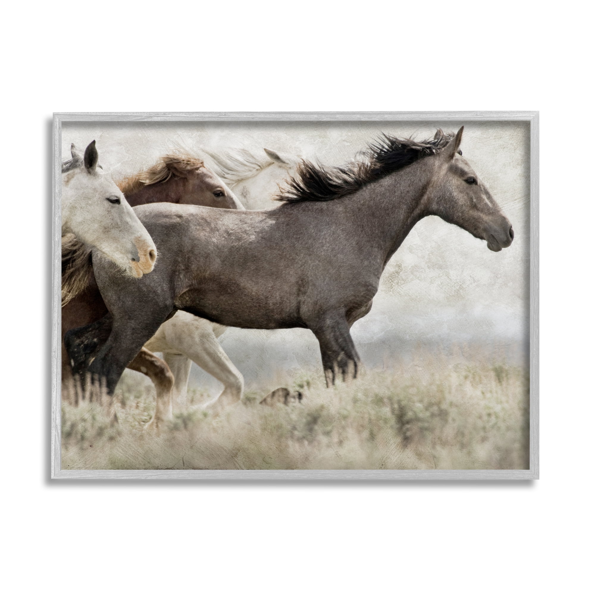Stupell Industries Rustic Southwestern Horses Animals & Insects Photography Gray Framed Art Print Wall Art, 20 x 16