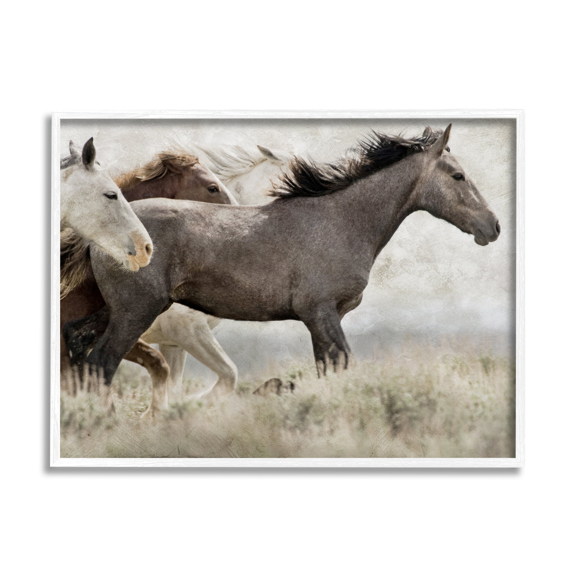 Stupell Industries Rustic Southwestern Horses Animals & Insects Photography White Framed Art Print Wall Art, 30 x 24