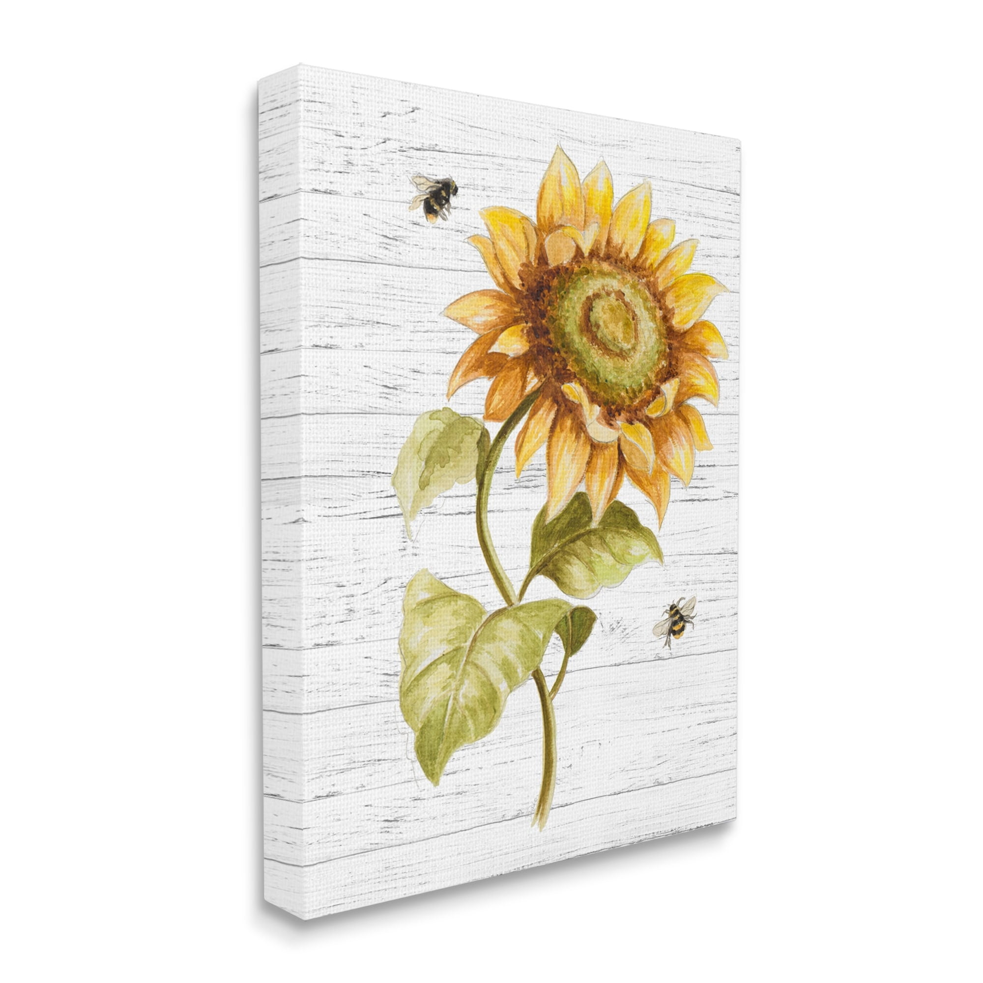 Stupell Industries Rustic Sunflower Floral Roaming Honey Bee Insect Canvas Wall Art by Patricia Pinto