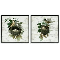 Stupell Industries Rustic Vintage Bird Nests Animals Painting Black Framed Art Print Wall Art, 12 x 12, Set of 2