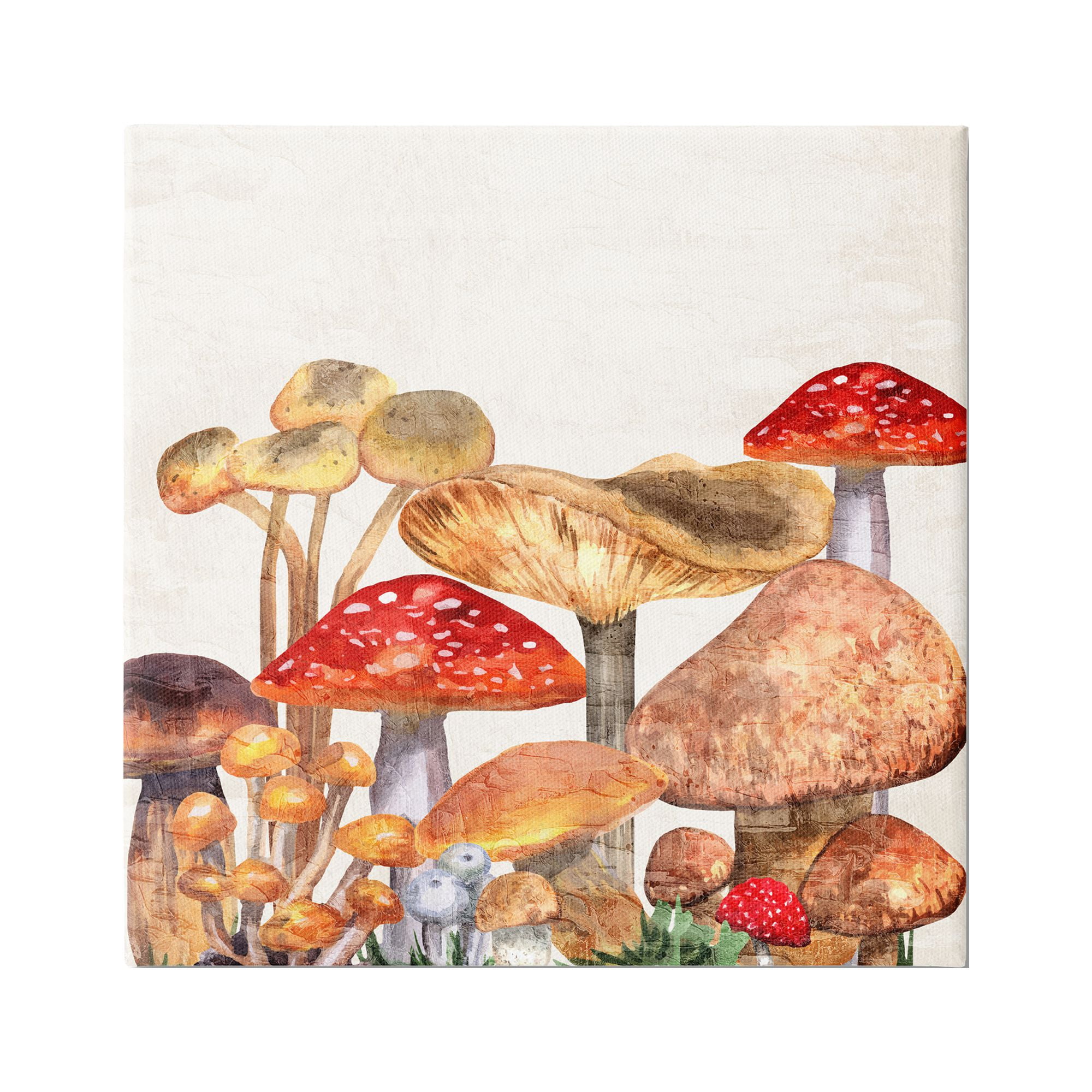 Stupell Industries Rustic Woodland Mushrooms Botanical & Floral Painting Gallery Wrapped Canvas Print Wall Art, 30 x 30