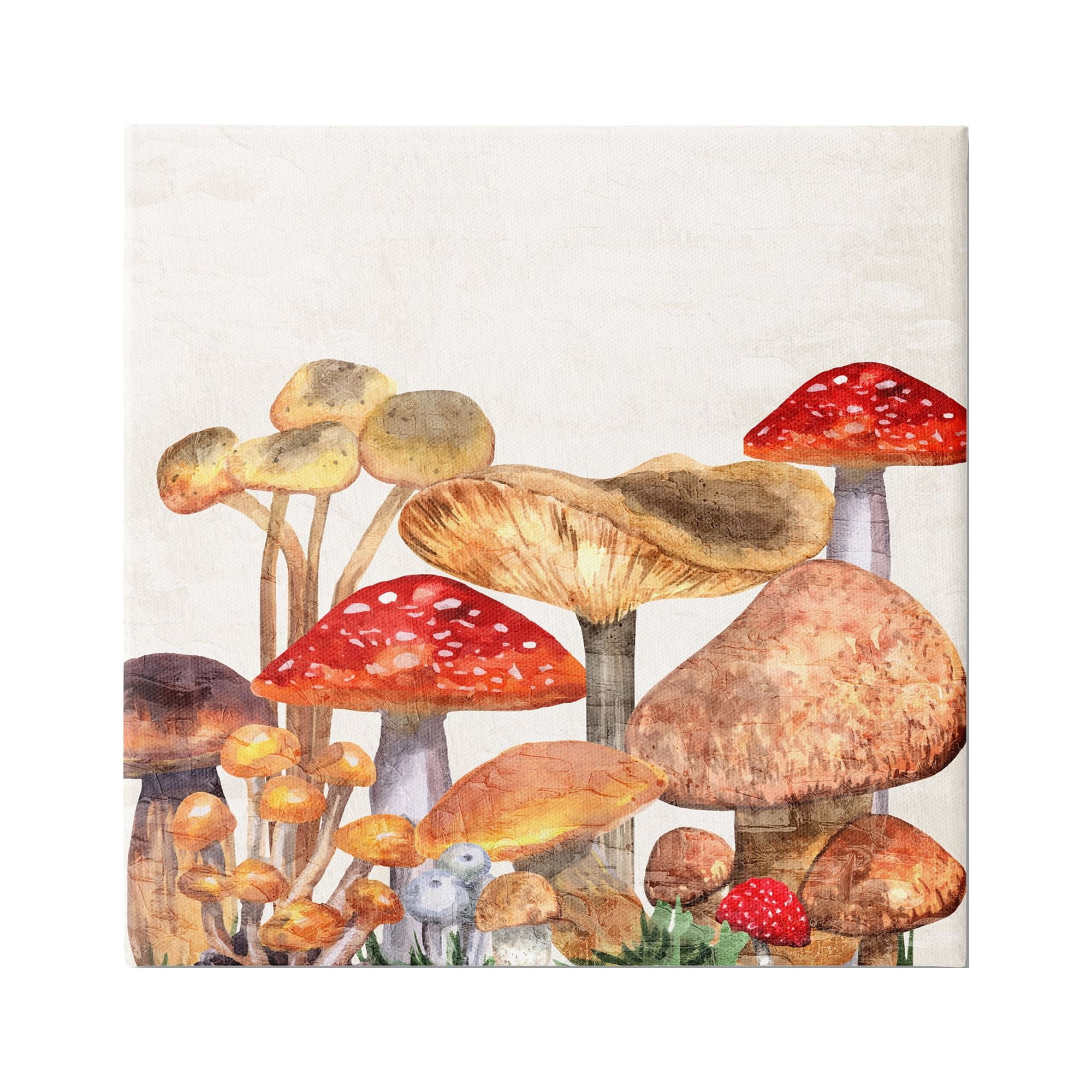 Stupell Industries Rustic Woodland Mushrooms Botanical & Floral Painting Gallery Wrapped Canvas Print Wall Art, 36 x 36