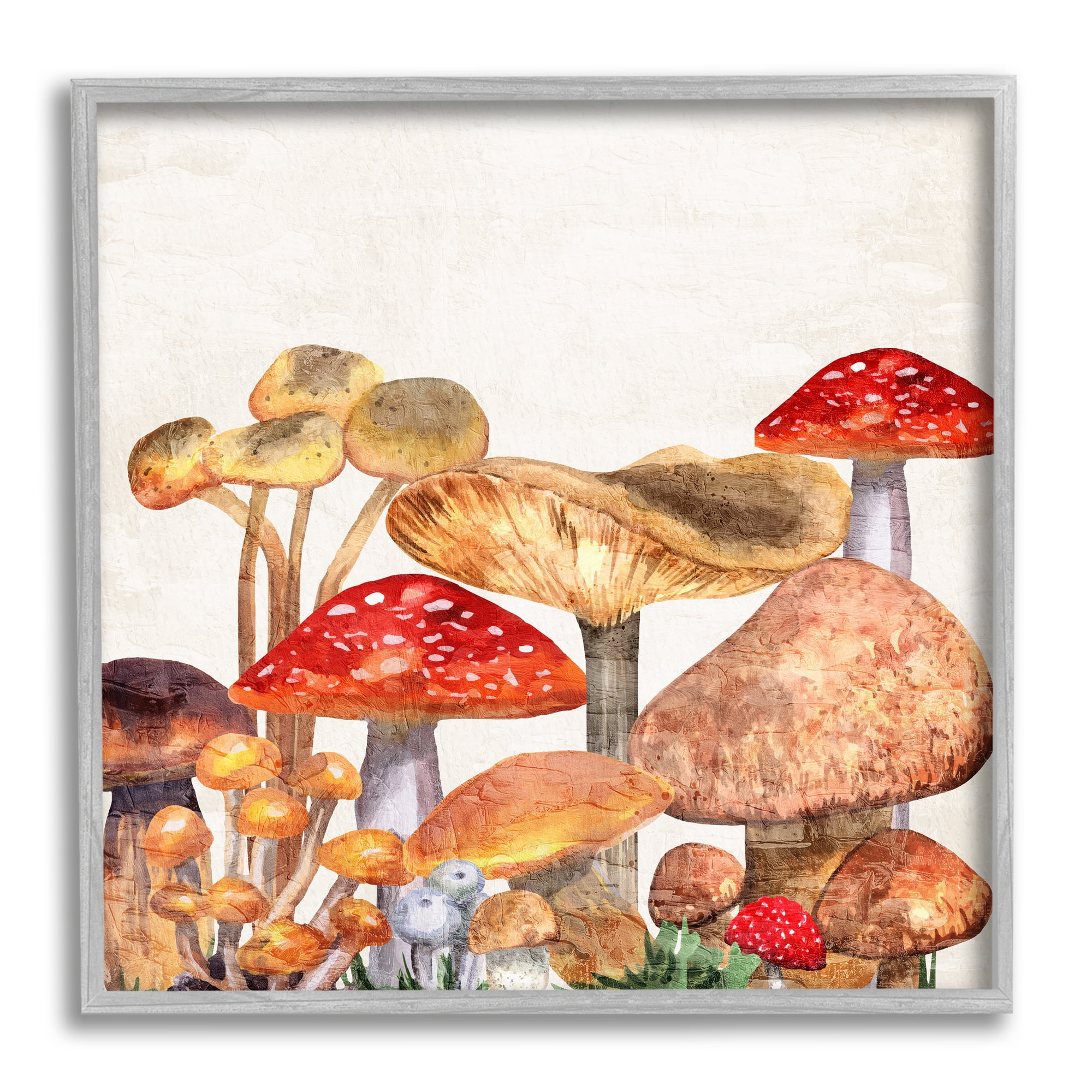 Stupell Industries Rustic Woodland Mushrooms Botanical & Floral Painting Gray Framed Art Print Wall Art, 24 x 24