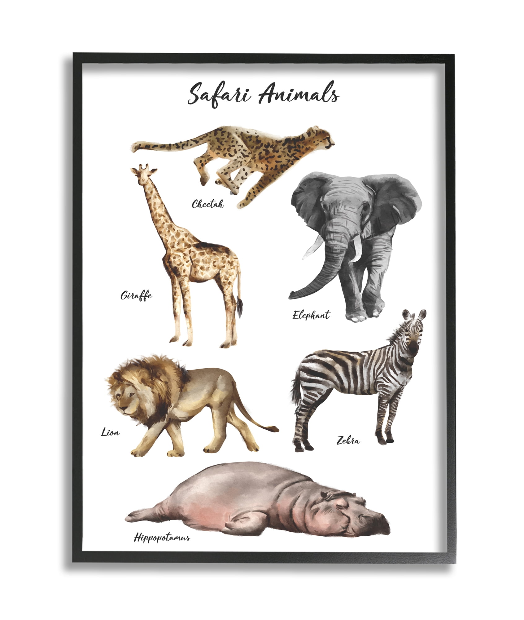 Stupell Industries Safari Animal Chart Playful Watercolor Illustrations Black Framed, 24 x 30, Design by Ziwei Li
