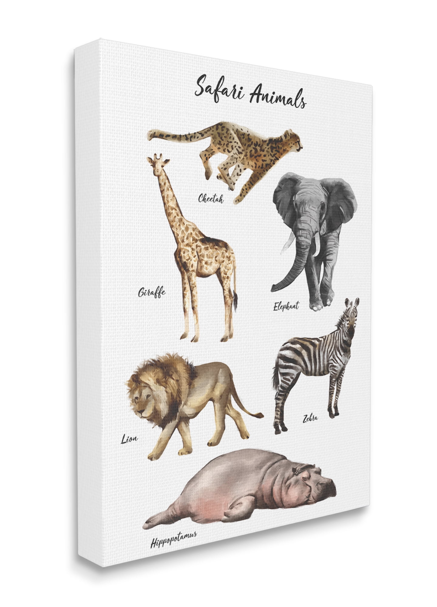 Stupell Industries Safari Animal Chart Playful Watercolor Illustrations Canvas Wall Art, 30 x 40, Design by Ziwei Li