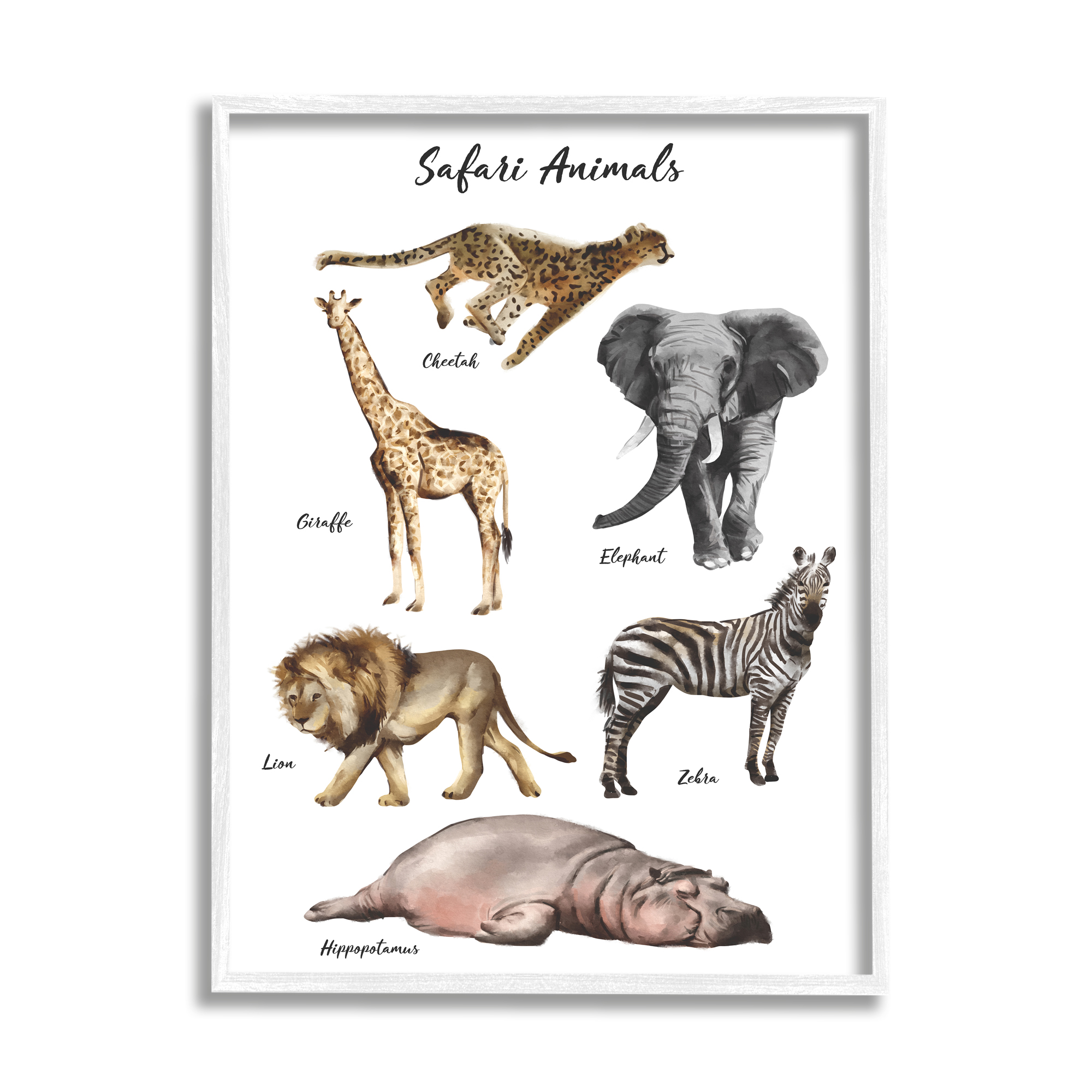 Stupell Industries Safari Animal Chart Playful Watercolor Illustrations Graphic Art Framed Art Print Wall Art, 24x30, By Ziwei Li