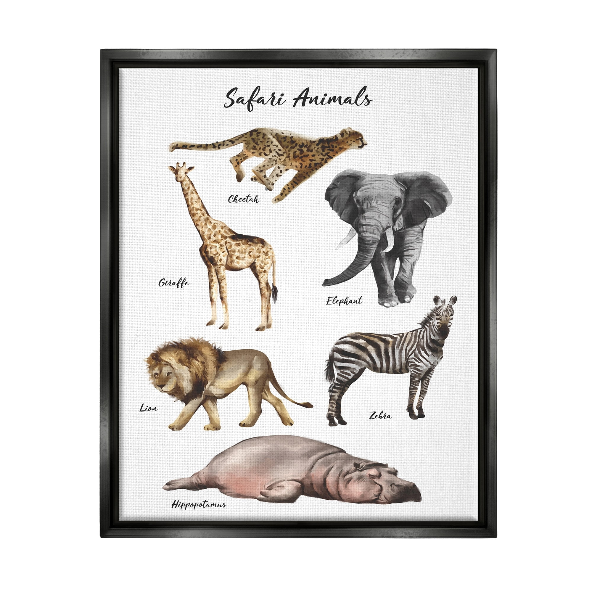 Stupell Industries Safari Animal Chart Playful Watercolor Illustrations Jet Black Framed Floating Canvas Wall Art, 24x30, by Ziwei Li