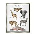 thumbnail image 1 of Stupell Industries Safari Animal Chart Playful Watercolor Illustrations Luster Gray Framed Floating Canvas Wall Art, 16x20, by Ziwei Li, 1 of 5
