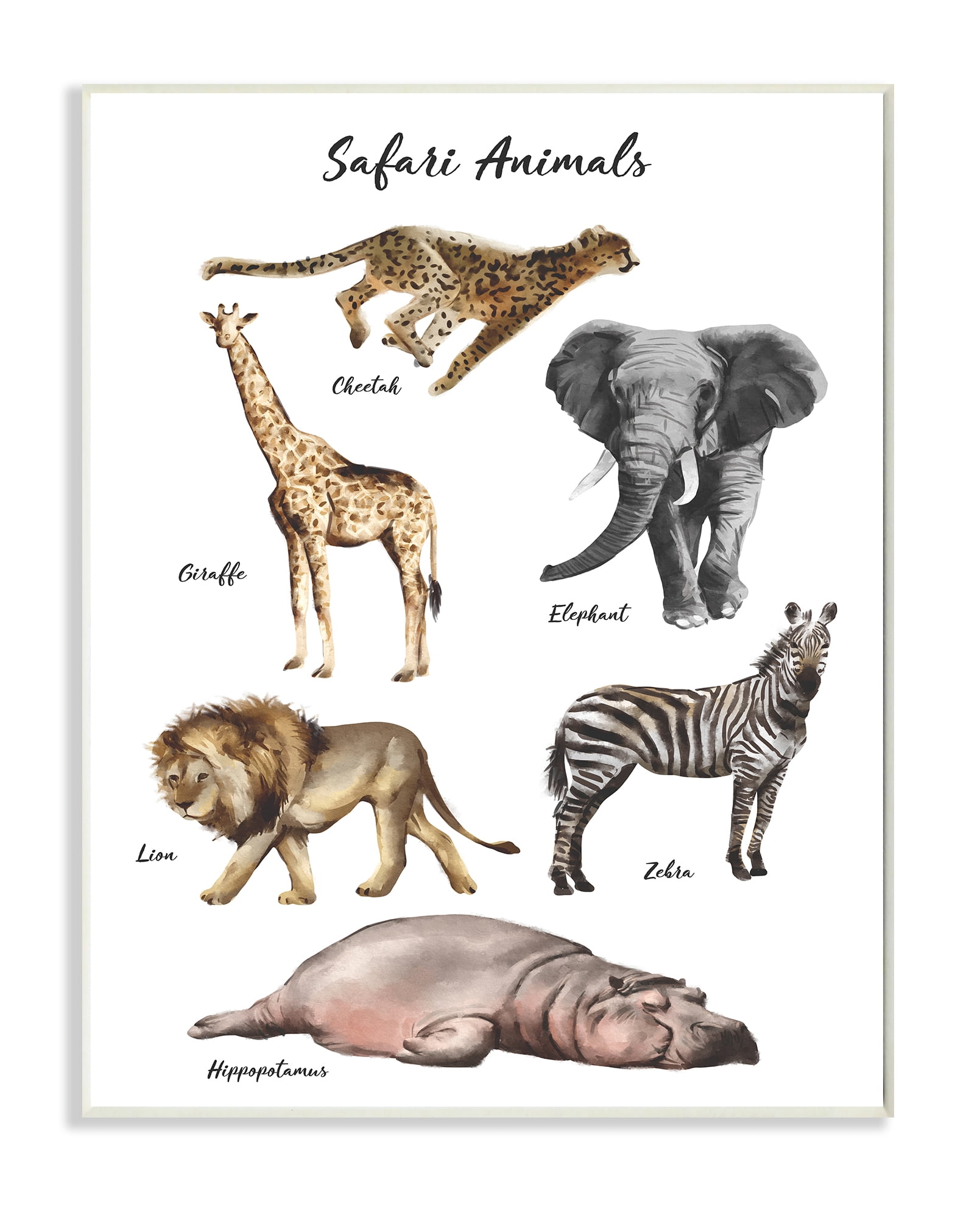 Stupell Industries Safari Animal Chart Playful Watercolor Illustrations Wall Plaque, 10 x 15, Design by Ziwei Li