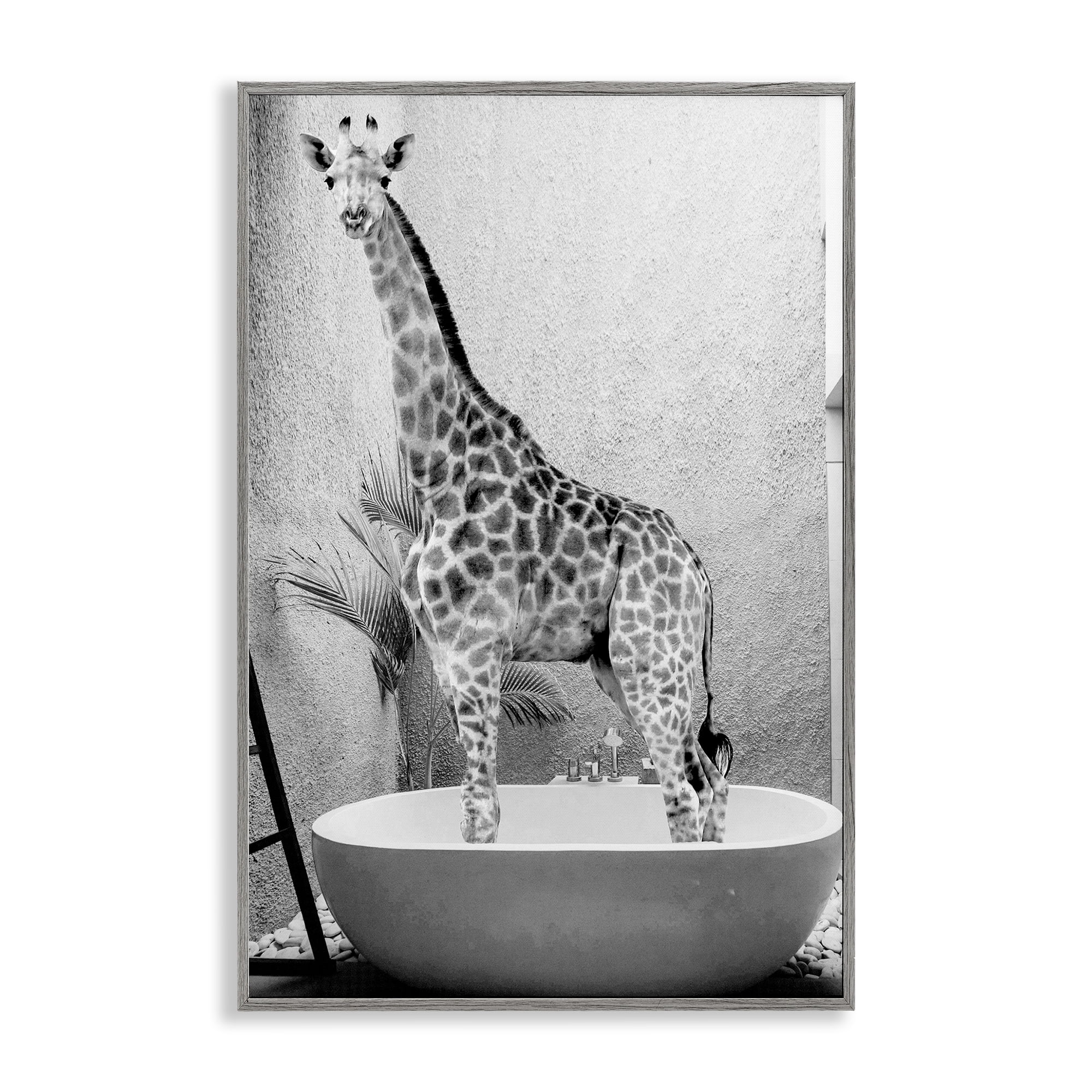 Stupell Industries Safari Bath Standing Tall Gray Framed Giclee Art, design by SD Graphics Studio