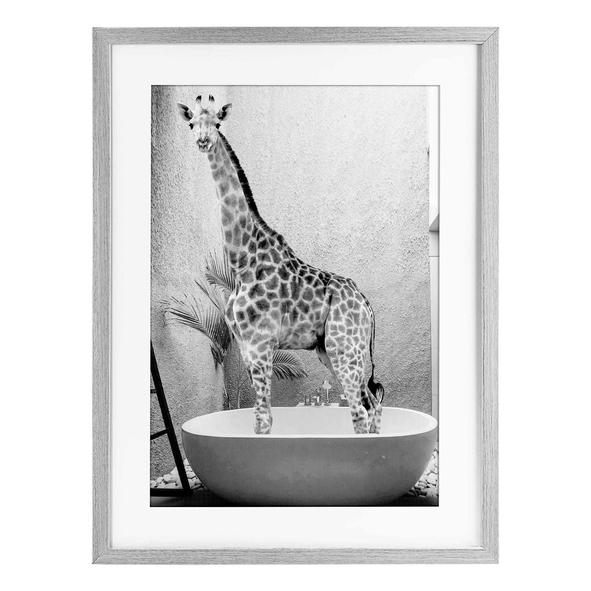Stupell Industries Safari Bath Standing Tall Gray Framed Print Under Glass, design by SD Graphics Studio