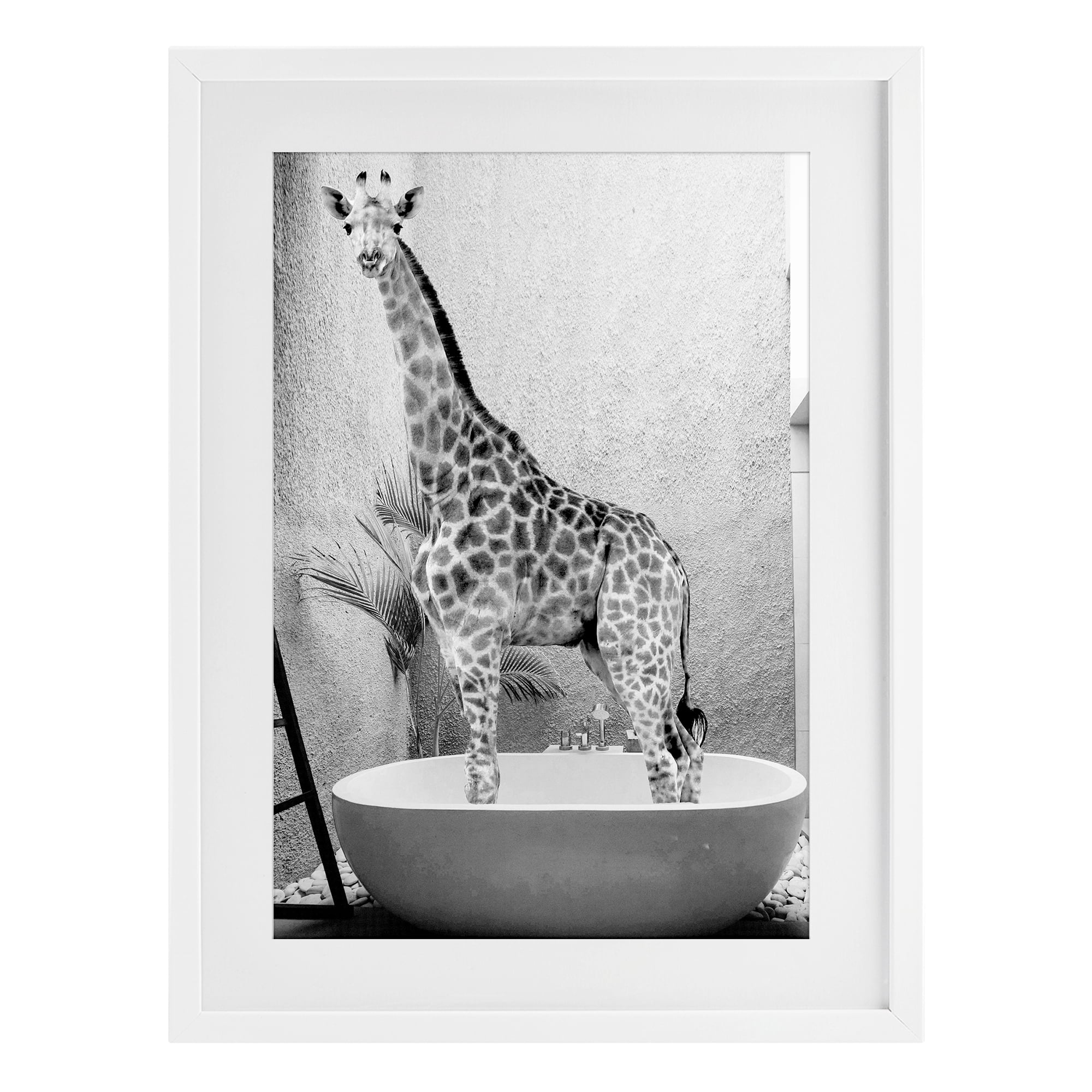 Stupell Industries Safari Bath Standing Tall White Framed Print Under Glass, design by SD Graphics Studio