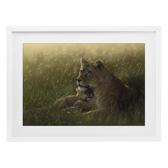 Stupell Industries Traditional Safe Haven Lion Cub White Framed Print Under Glass, 20 x 14, by Collin Bogle
