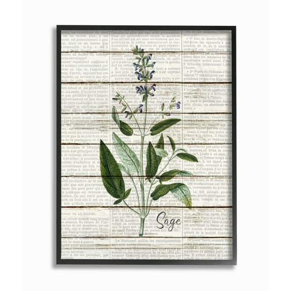 Stupell Industries Sage Vintage Herb Kitchen Dining Room Word Collage Design Framed Giclee Texturized Art by Kimberly Allen