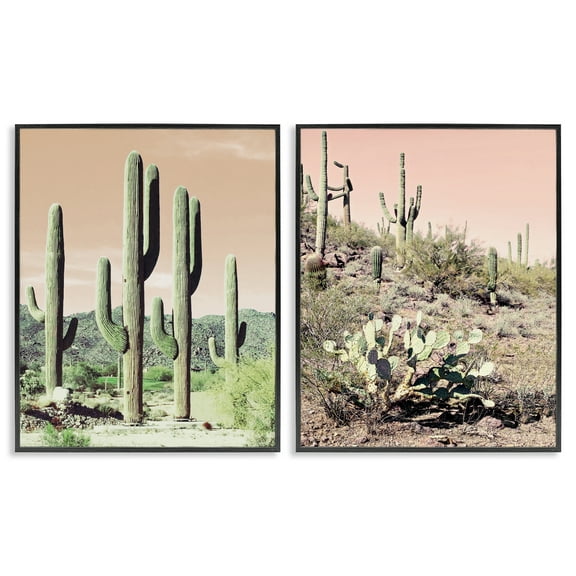 Stupell Industries Saguaro Cactus Desertscape Landscape & Nature Photography Black Framed Art Print Wall Art, 11 x 14, Set of 2