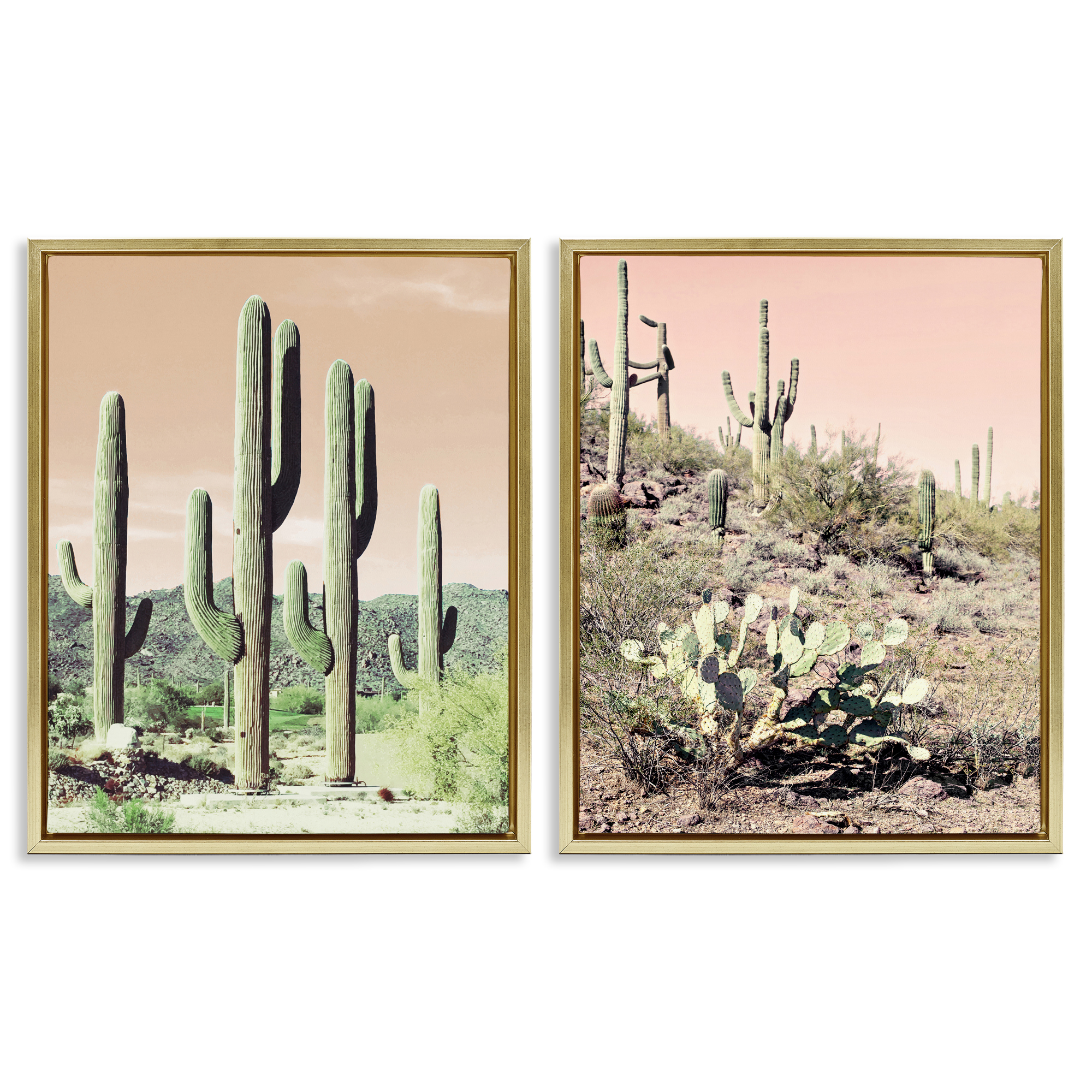 Stupell Industries Saguaro Cactus Desertscape Landscape & Nature Photography Gold Floater Framed Canvas Art Print Wall Art, 31 x 25, Set of 2