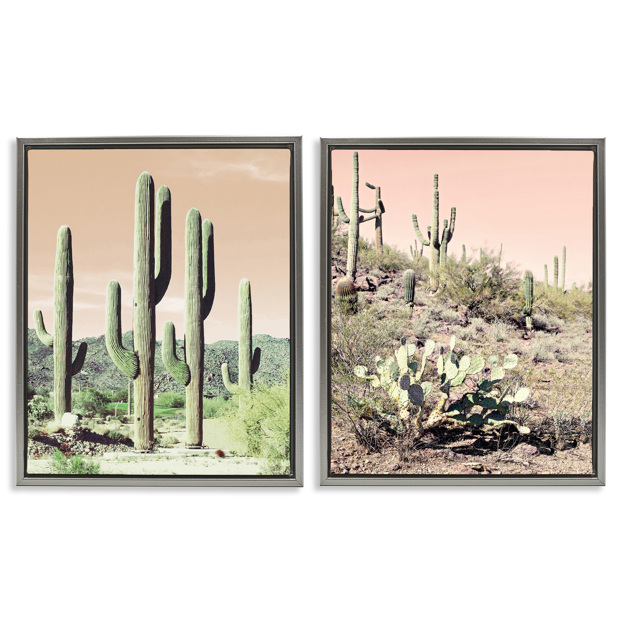 Stupell Industries Saguaro Cactus Desertscape Landscape & Nature Photography Gray Floater Framed Canvas Art Print Wall Art, 17 x 21, Set of 2