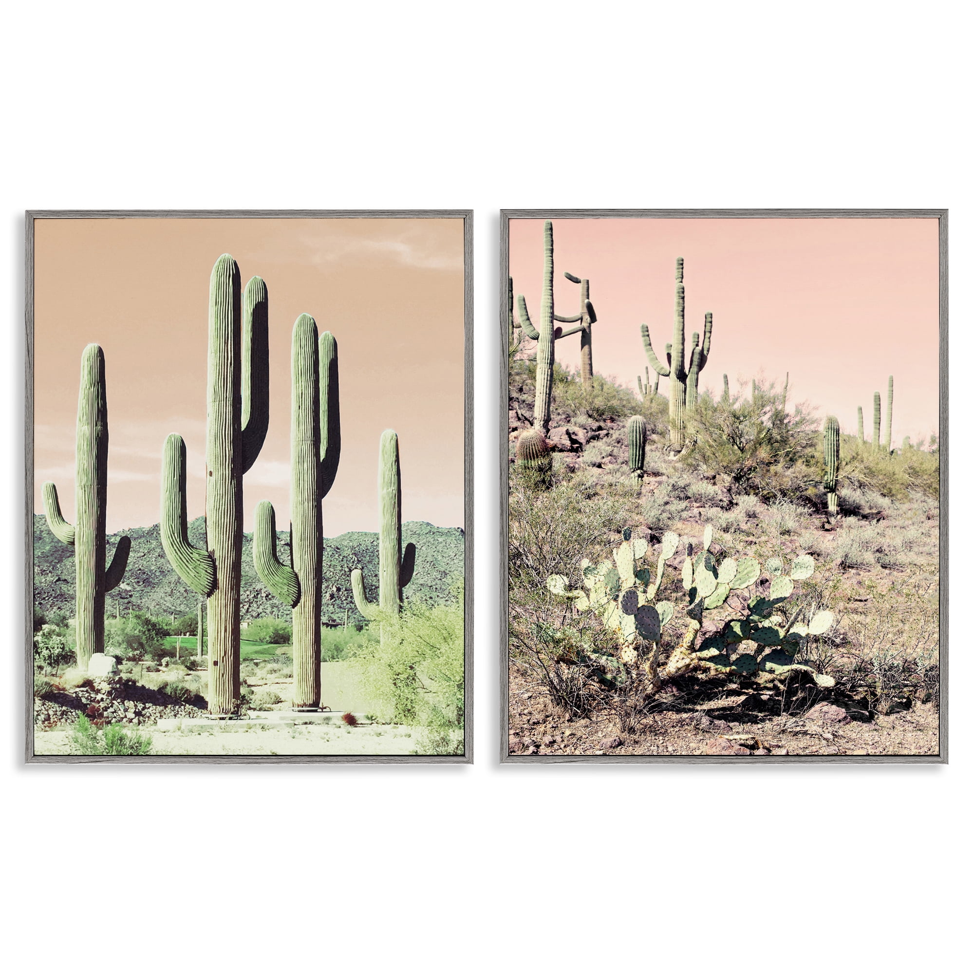 Stupell Industries Saguaro Cactus Desertscape Landscape & Nature Photography Gray Framed Art Print Wall Art, 16 x 20, Set of 2