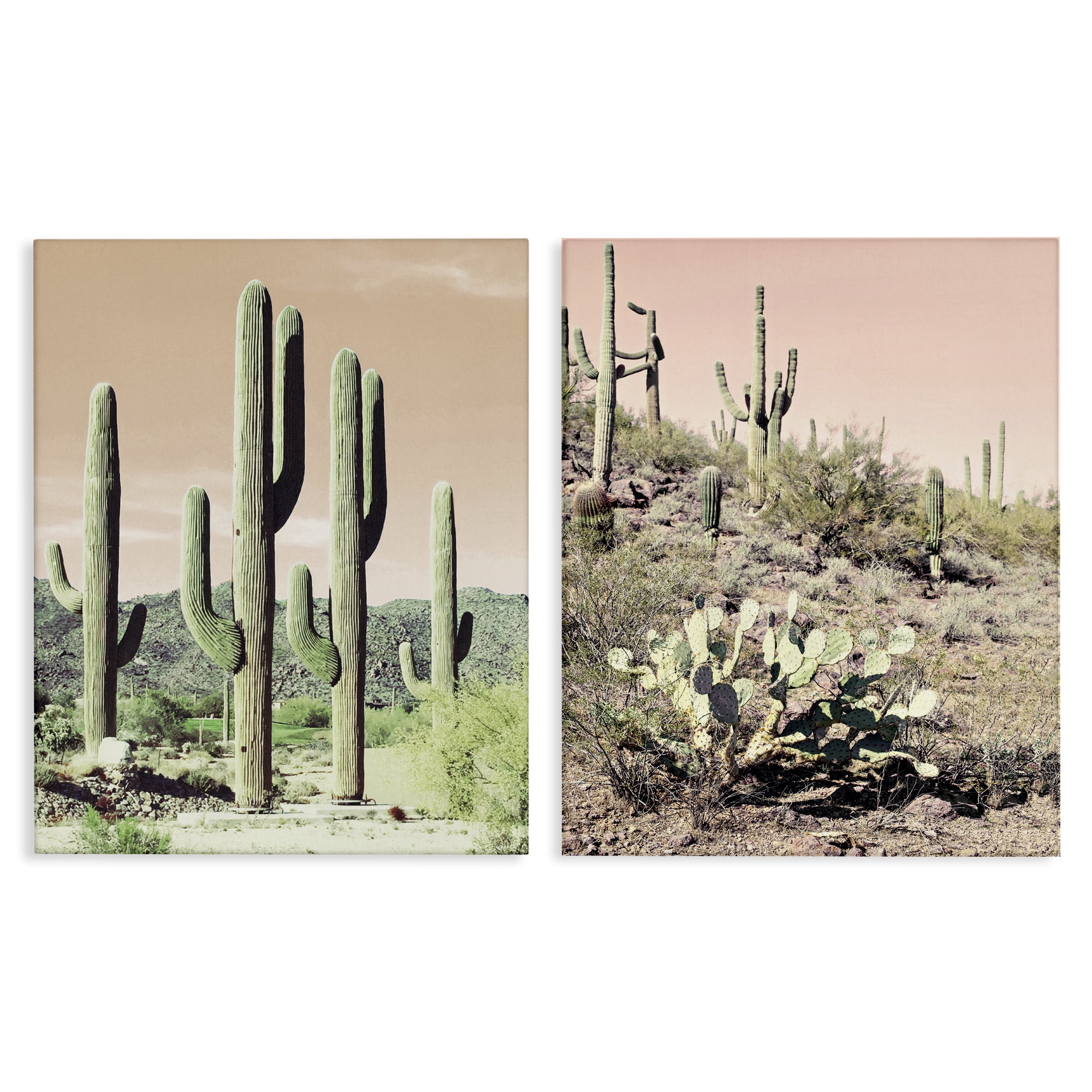 Stupell Industries Saguaro Cactus Desertscape Landscape & Nature Photography Wrapped Canvas Art Print Wall Art, 24 x 30, Set of 2