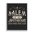 thumbnail image 1 of Stupell Industries Salem Apothecary Vintage Sign Graphic Art Gray Framed Art Print Wall Art, Design by Angela Nickeas, 1 of 8