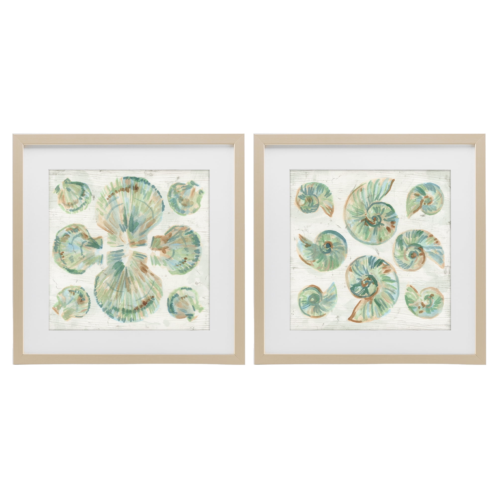 Stupell Industries Saltwashed Seashells Pattern 2 Piece Birch Framed Print Under Glass Set, design by June Erica Vess