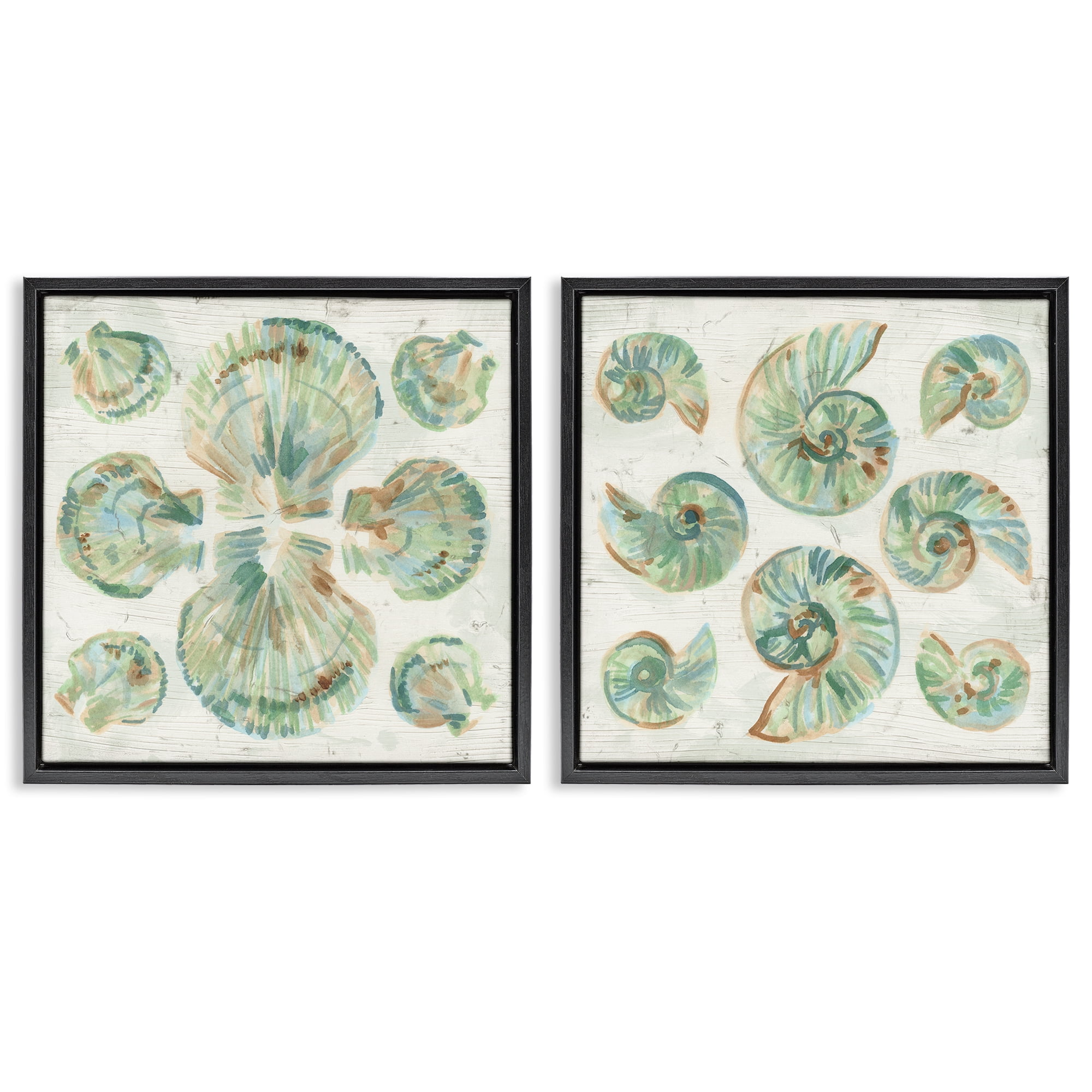 Stupell Industries Saltwashed Seashells Pattern 2 Piece Black Framed Floater Canvas Set, design by June Erica Vess