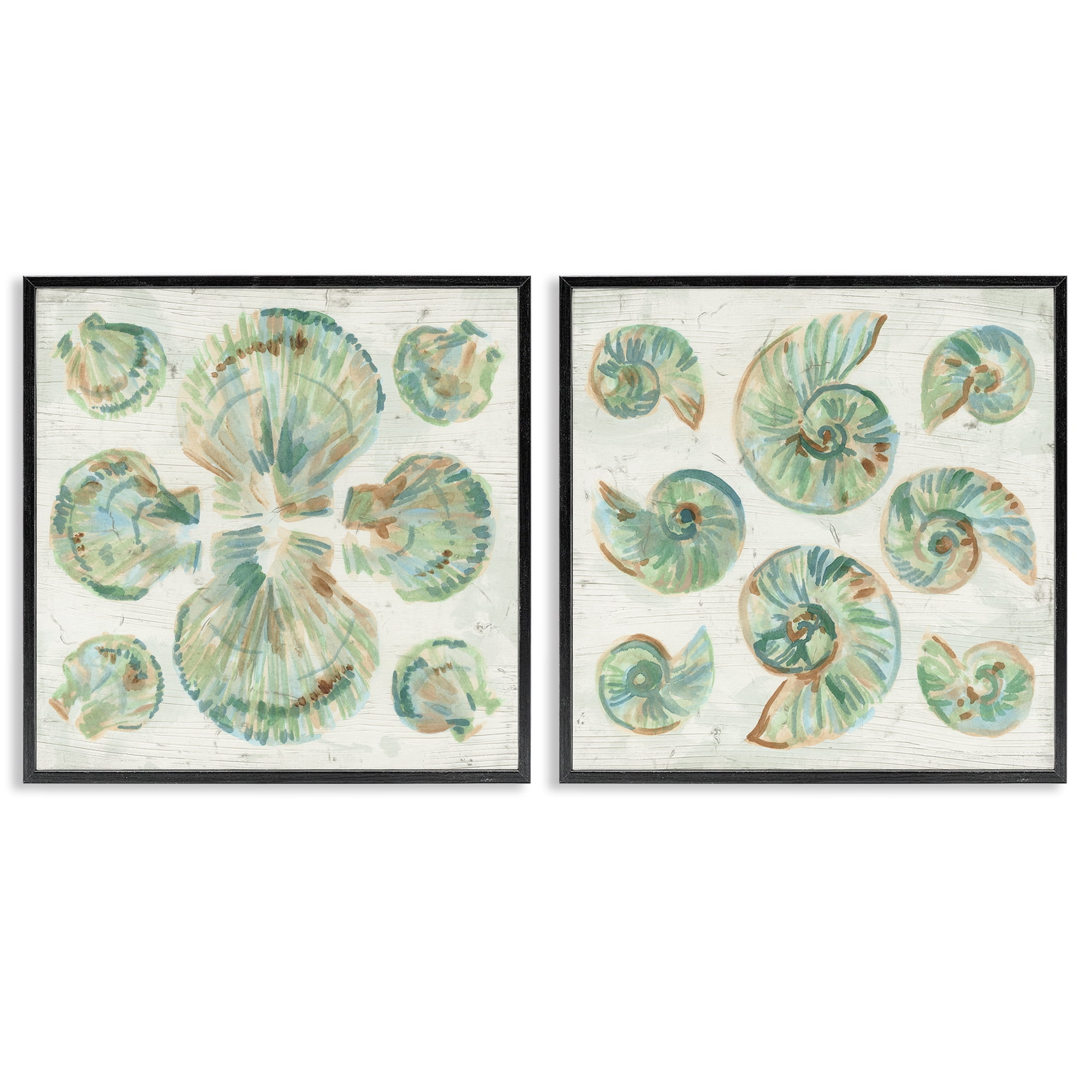 Stupell Industries Saltwashed Seashells Pattern 2 Piece Black Framed Giclee Art Set, design by June Erica Vess