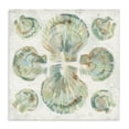 thumbnail image 1 of Stupell Industries Coastal Saltwashed Shells Symmetry Canvas Art, 17 x 17, by June Erica Vess, 1 of 8