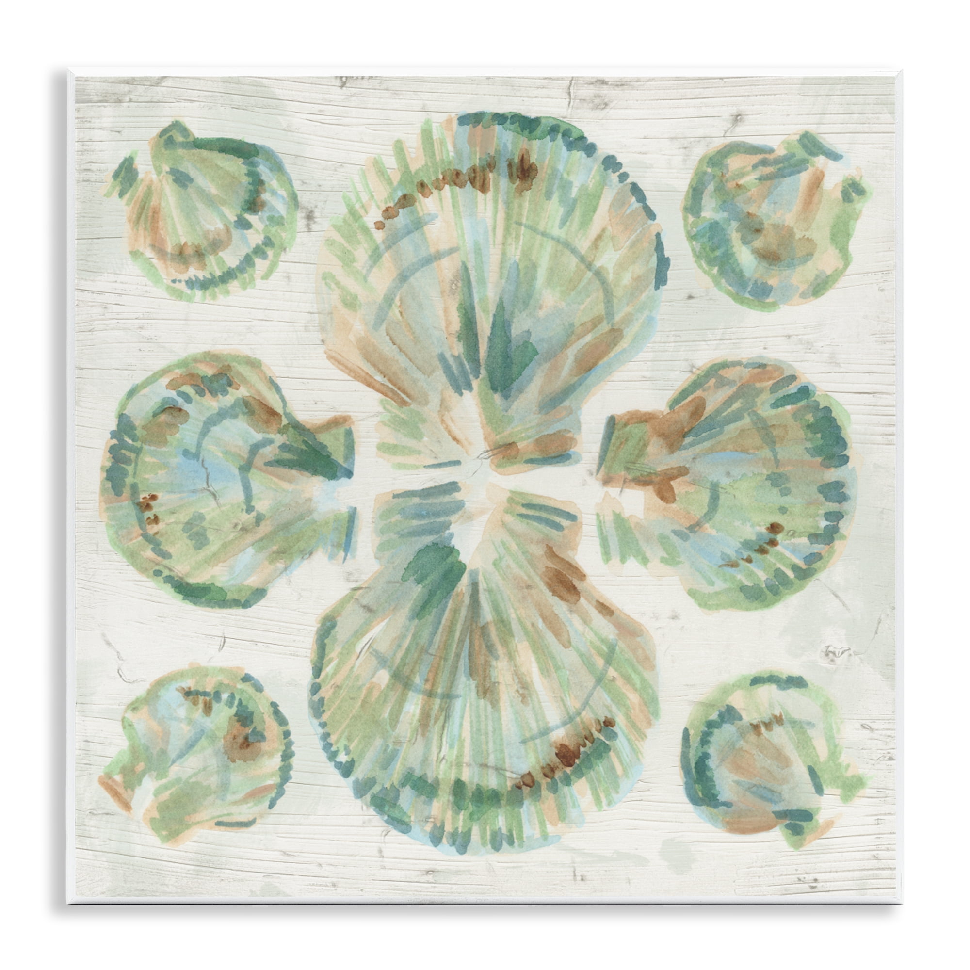 Stupell Industries Saltwashed Shells Symmetry Wall Plaque Art, design by June Erica Vess