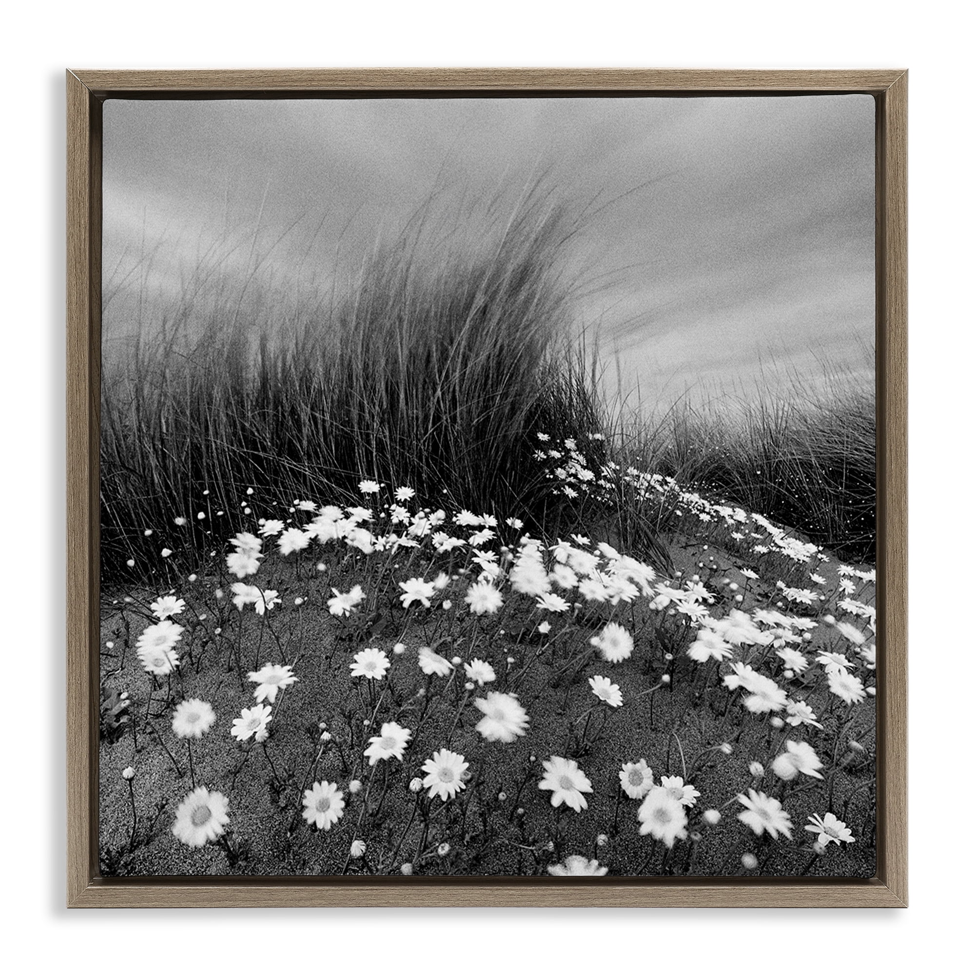 Stupell Industries Sand Daisies on Hill Landscape Photography Brown Floater Framed Art Print Wall Art, 25 x 25