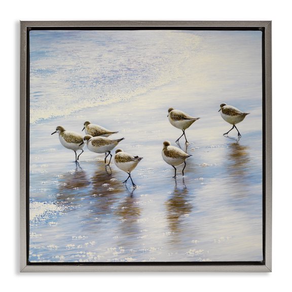 Stupell Industries Sand Dancers on Shore Gray Framed Floater Canvas Wall Art, design by Bruce Nawrocke