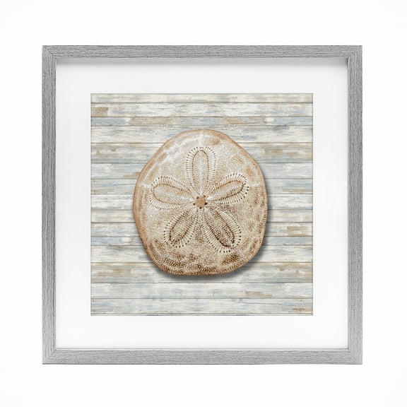 Stupell Industries Sand Dollar On Shiplap Gray Framed Print Under Glass design by Amber Sterling, 16 x 16