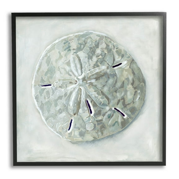 Stupell Industries Sand Dollar Seashell Painting Black Framed Art Print Wall Art, Design by Erica Christopher