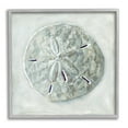 thumbnail image 1 of Stupell Industries Sand Dollar Seashell Painting Gray Framed Art Print Wall Art, Design by Erica Christopher, 1 of 8