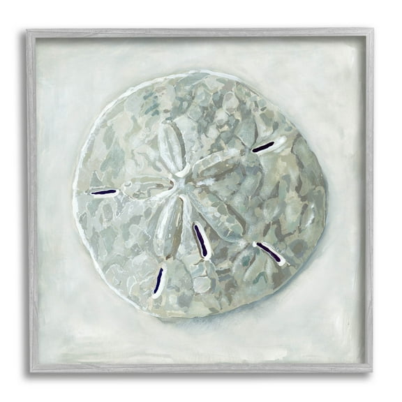 Stupell Industries Sand Dollar Seashell Painting Gray Framed Art Print Wall Art, Design by Erica Christopher