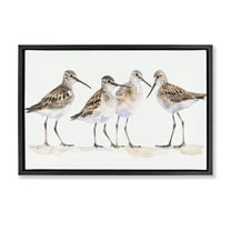 Stupell Industries Sand Pipers Gathered Animals Painting Black Floater Framed Canvas Art Print Wall Art, 25 x 17