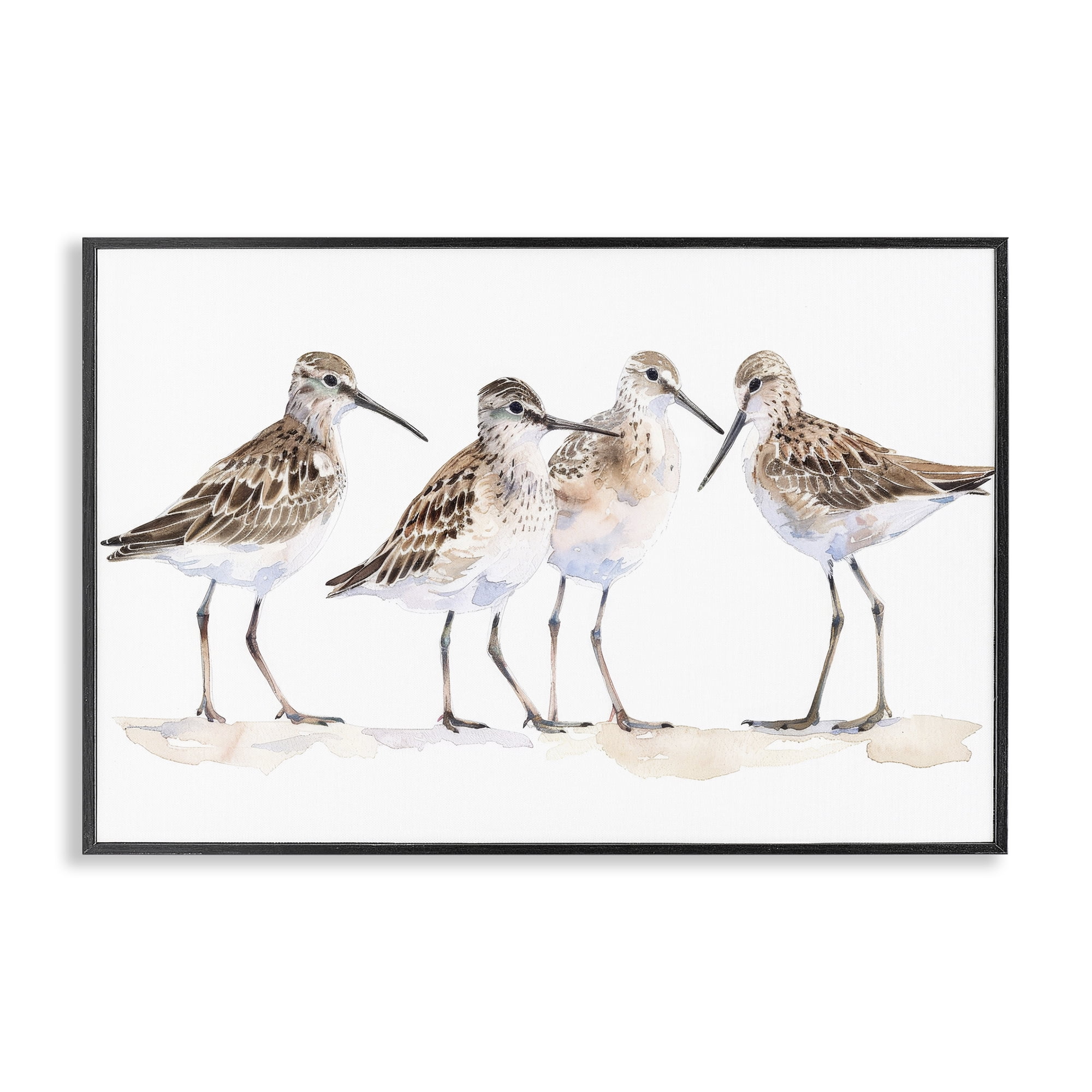 Stupell Industries Sand Pipers Gathered Animals Painting Black Framed Art Print Wall Art, 24 x 16