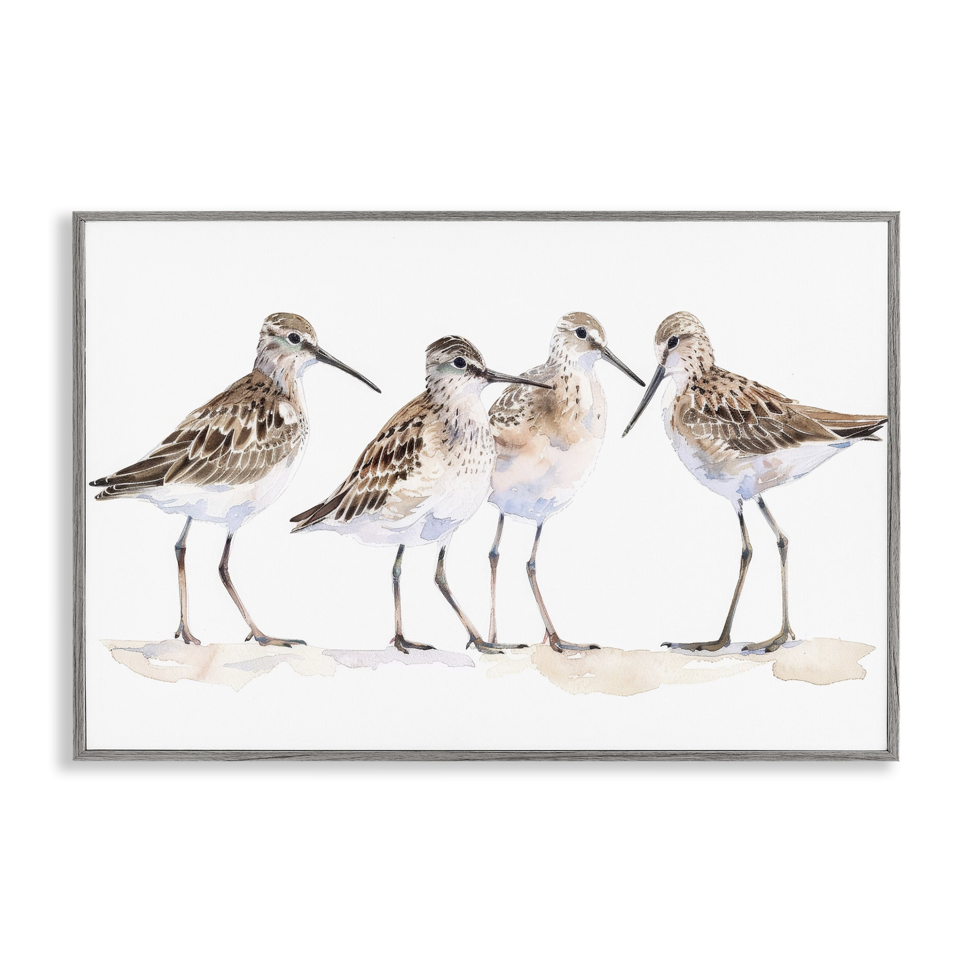 Stupell Industries Sand Pipers Gathered Animals Painting Gray Framed Art Print Wall Art, 18 x 12