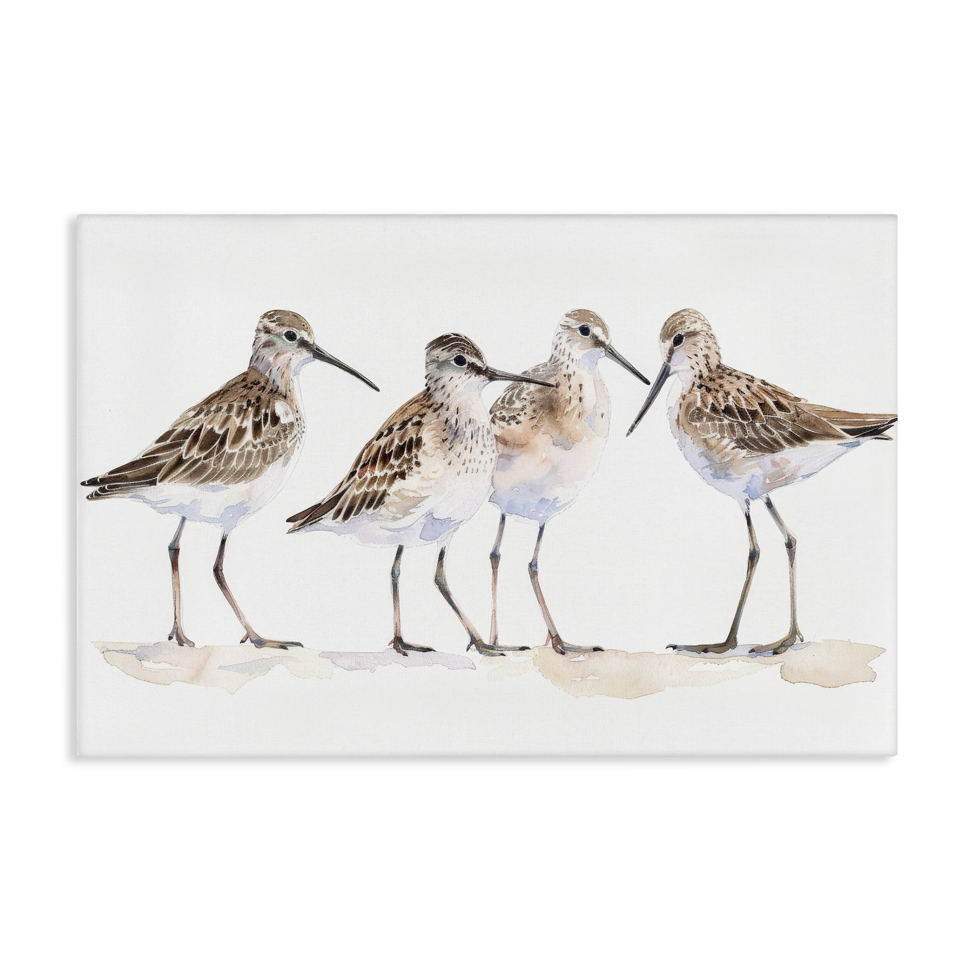 Stupell Industries Sand Pipers Gathered Animals Painting Wrapped Canvas Art Print Wall Art, 30 x 20
