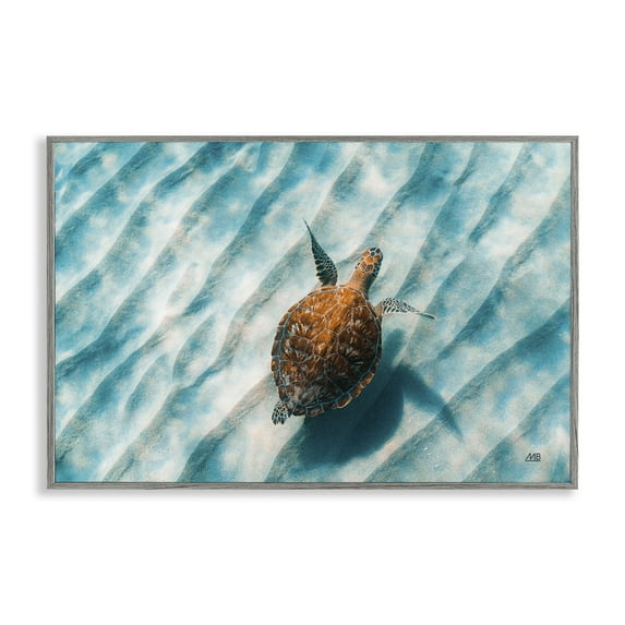 Stupell Industries Sandbar Sea Turtle Animals Photography Gray Framed Art Print Wall Art, 24 x 16