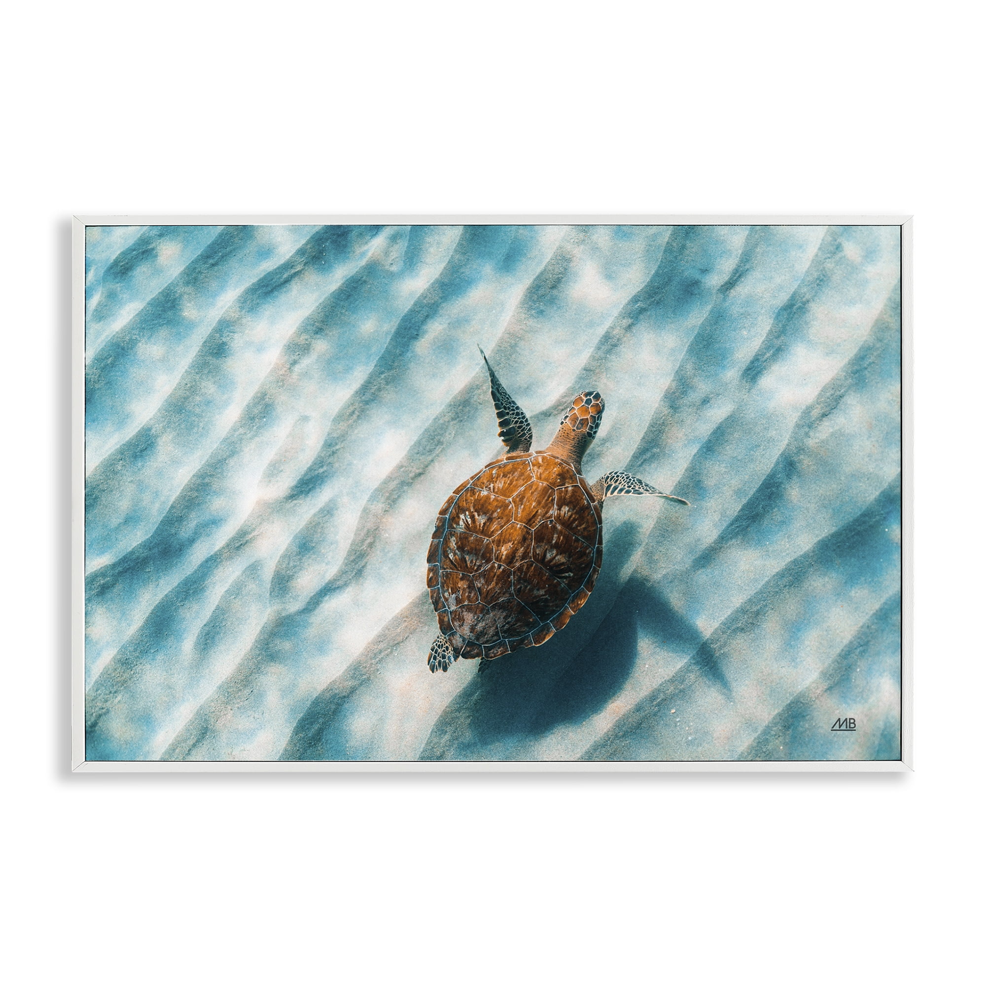 Stupell Industries Sandbar Sea Turtle Animals Photography White Framed Art Print Wall Art, 30 x 20