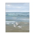 thumbnail image 1 of Stupell Industries Rustic Lodge Sanderlings on Gentle Waves Canvas Art, 24 x 30, by Nan, 1 of 8
