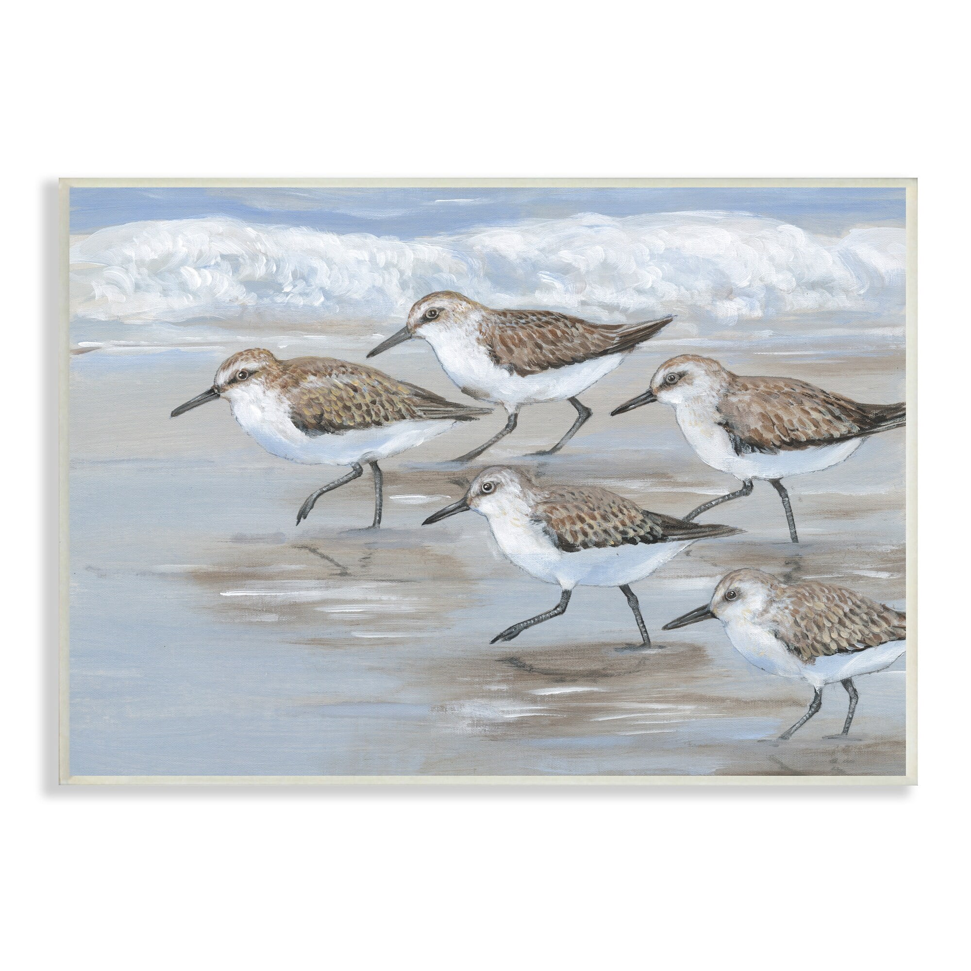 Stupell Industries Sandpiper Bird Flock Marching Beach Coast Waves , 19 x 13,Design by Tim OToole