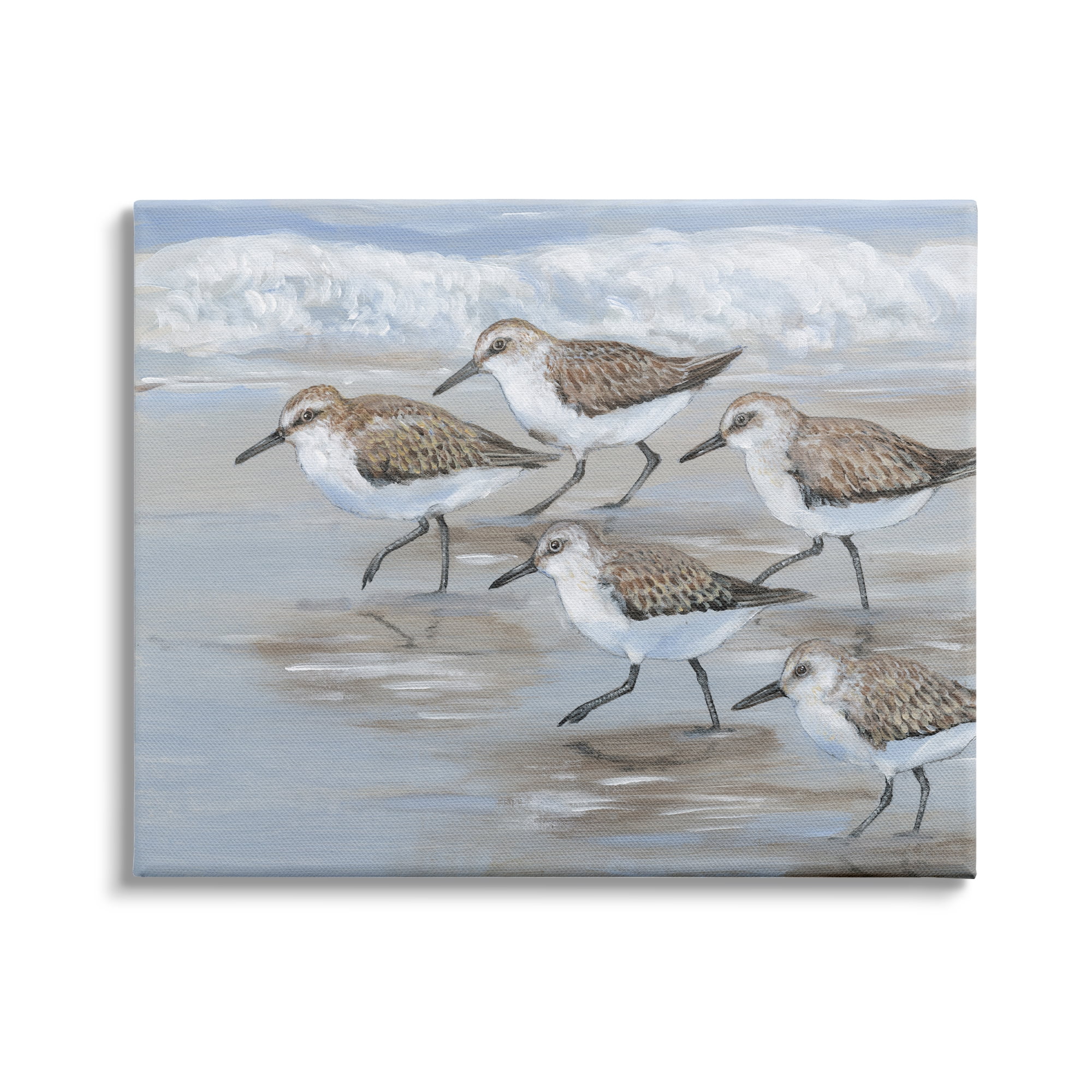 Stupell Industries Sandpiper Bird Flock Marching Beach Coast Waves , 20 x 16,Design by Tim OToole